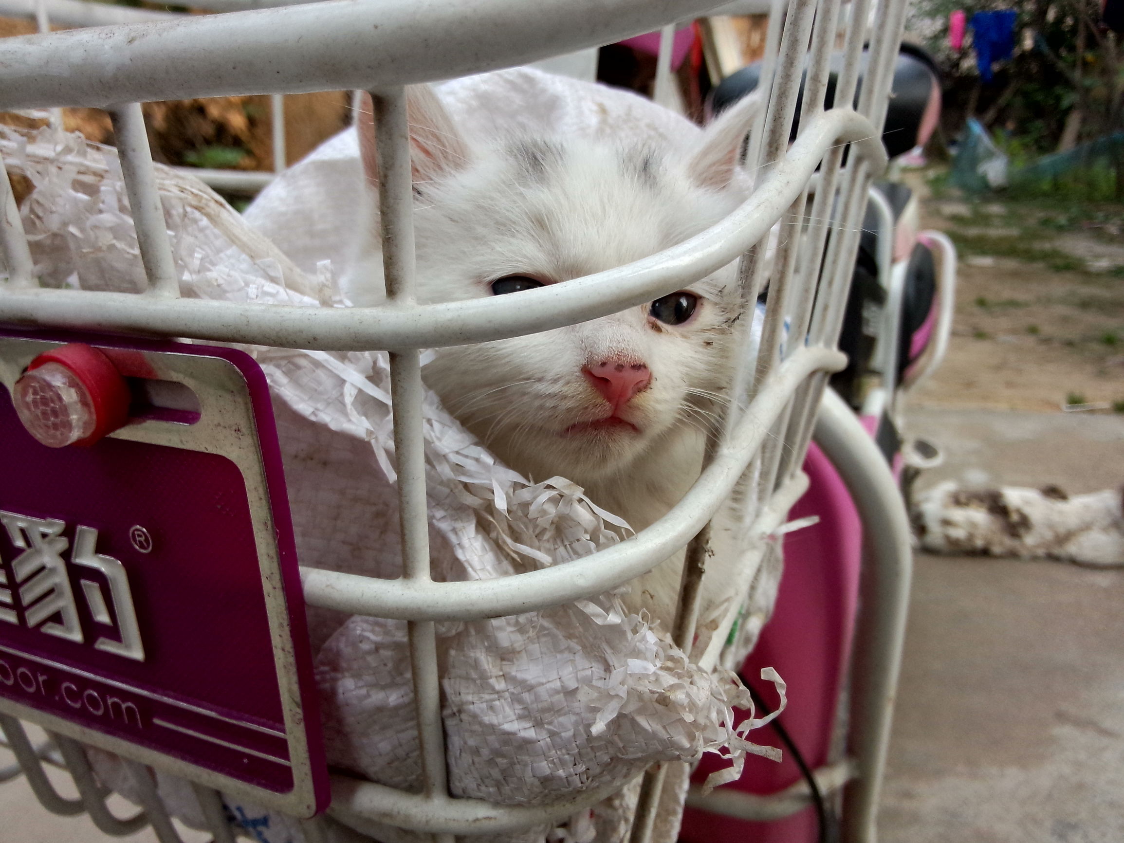 魅族的拍照很差？MX3的用户可不这么想