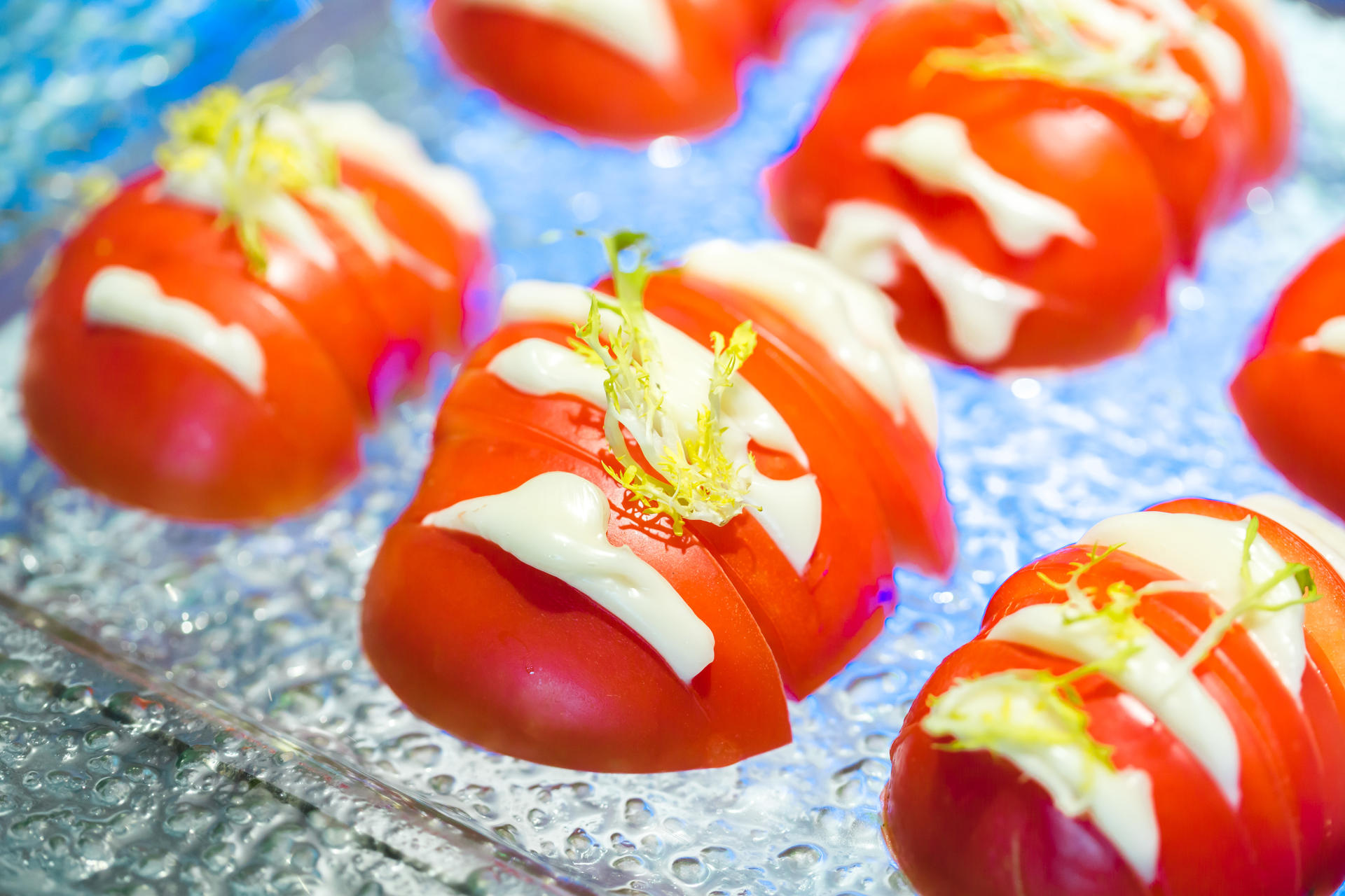 「FLORASTEAK丽斯百合」永远是银河乐天里的热门