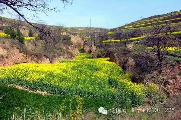 跨越千年时光看兵马俑,跨越千年唐十八陵