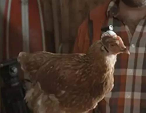 作为摄影师的“鸡”，你必须扛得起相机、拍得了防抖视频！