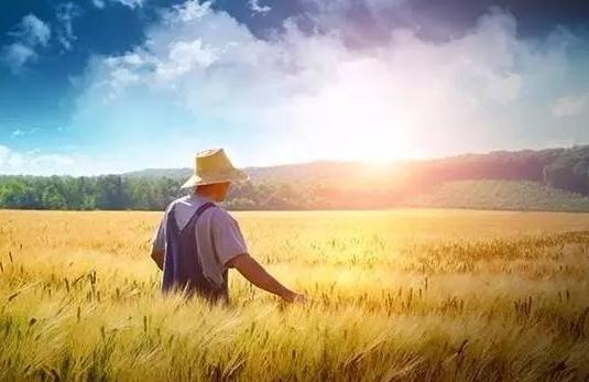 Word哥！在农村这个职业年入600万！