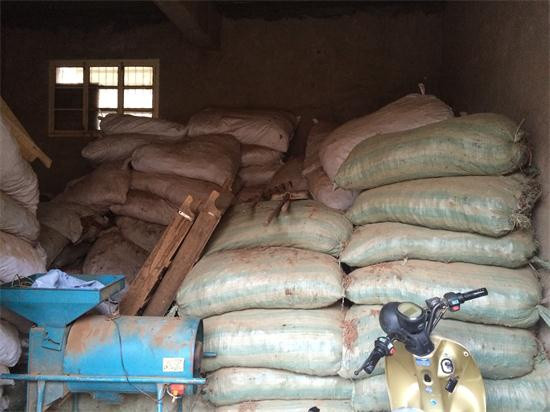 近日亳州白芍行情,亳州白芍今日行情