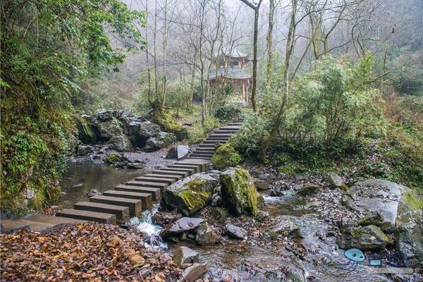 戏猴、爬山、观瀑布，那就跟我去卧龙谷！