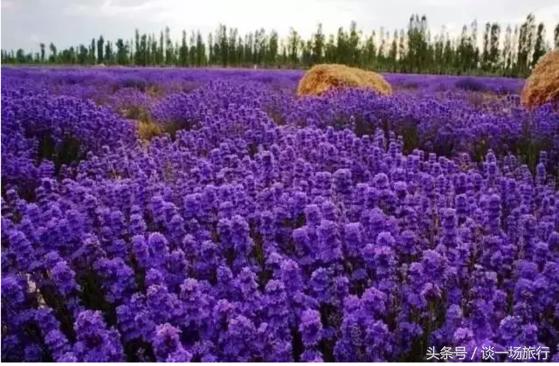 旅游中要点情怀？十大适合女人旅游的地方送给你（上）