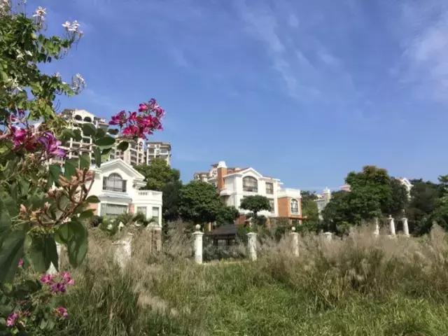 世界冠军专程助阵,为参赛球队提供总决赛球场最全攻略