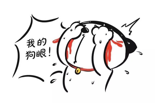 圣诞巧克力可以提前送吗,圣诞节送巧克力怎么样