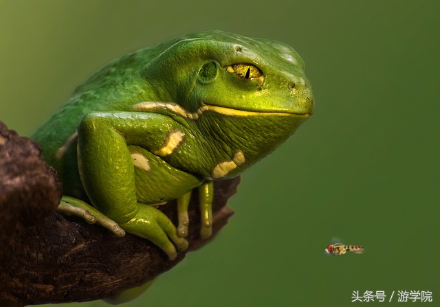 摄影答疑,解答摄影问题