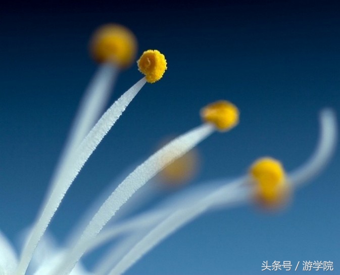 摄影答疑,解答摄影问题