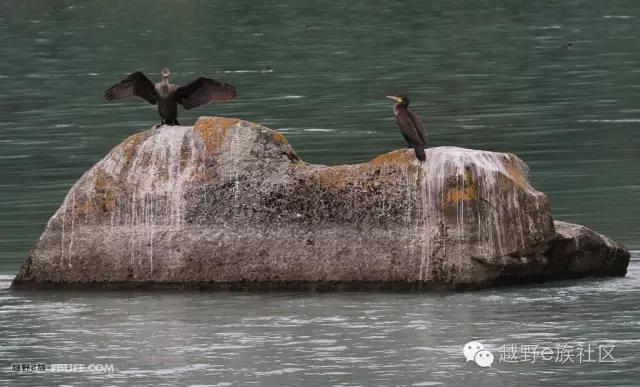 说走就走出去溜达,说走就走出去玩视频