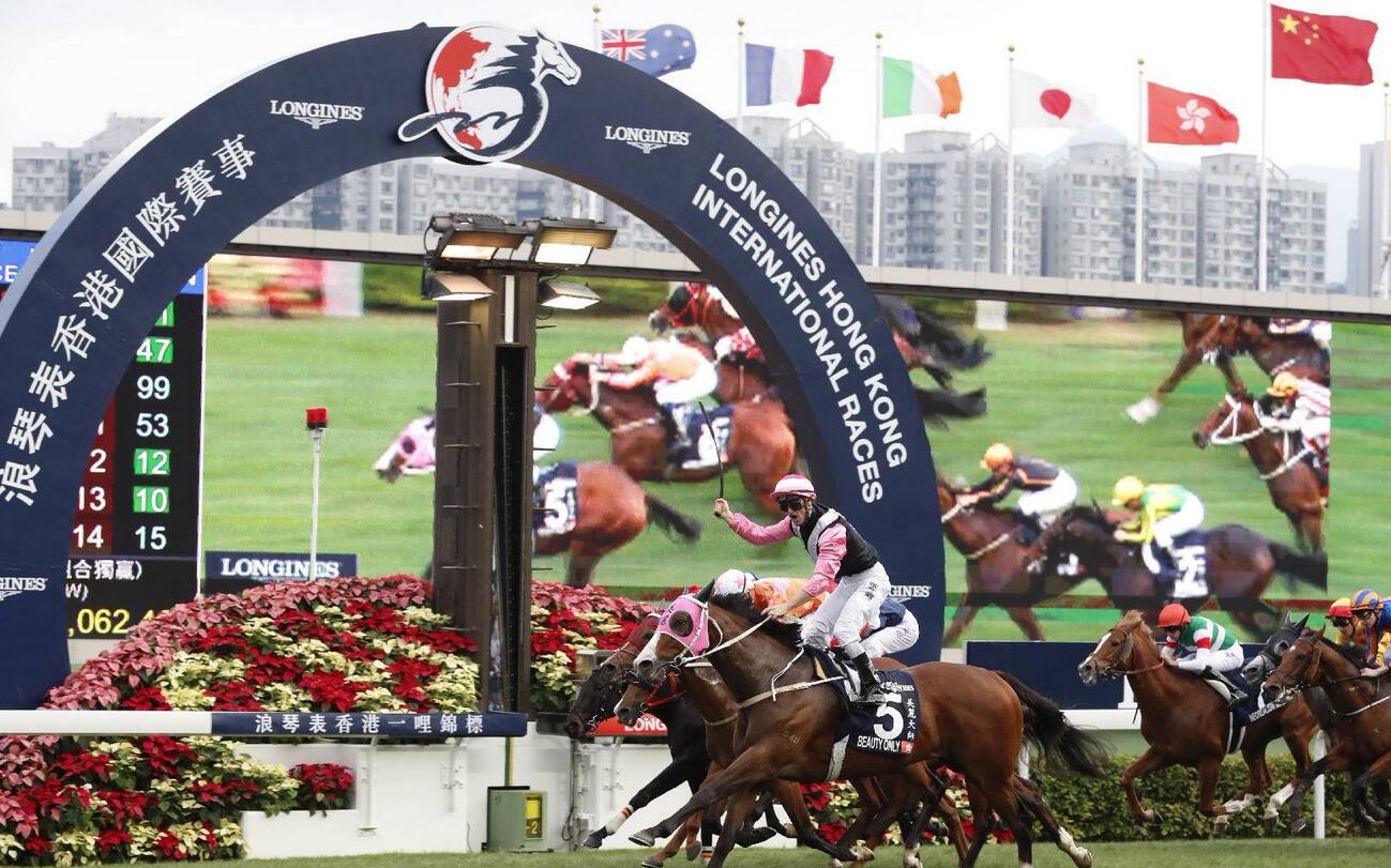 纯种马争夺草场王位，浪琴手表礼赞赛事和胜者