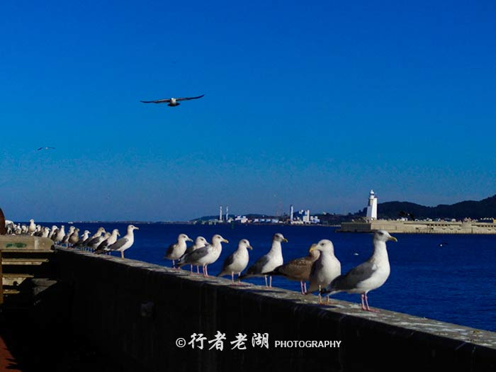 济州岛的苦逼生活,在济州岛的一天打卡