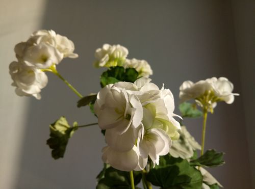 魅蓝note5测评,魅蓝note5深度评测