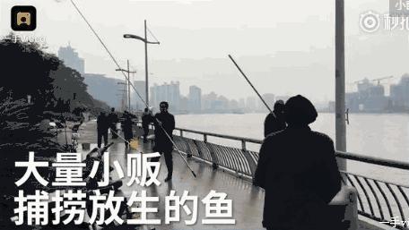 孕妇去保胎，新护士拿来一颗打胎药让她吃！现在孩子没了，医院却说……