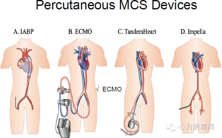 阜外张健心衰,心衰专家张健