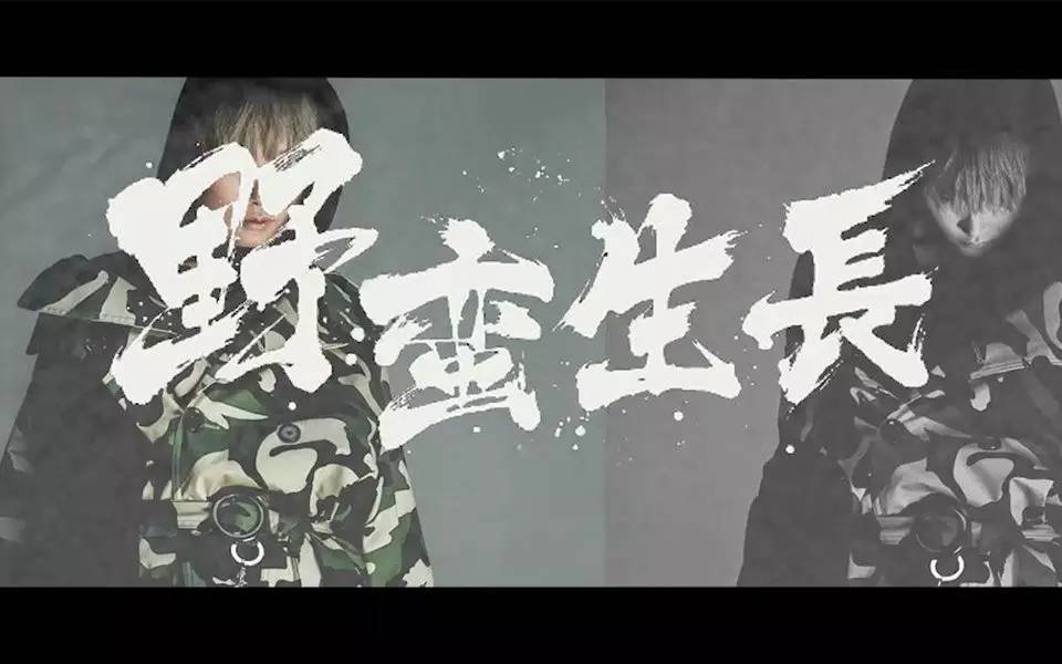 永乐文化创始人杨波现状,创业者杨波