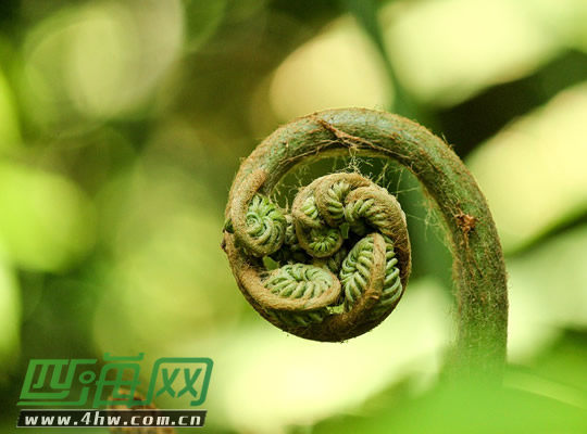 消化不好吃一样多也不排便胃胀不消化不排便怎么办？