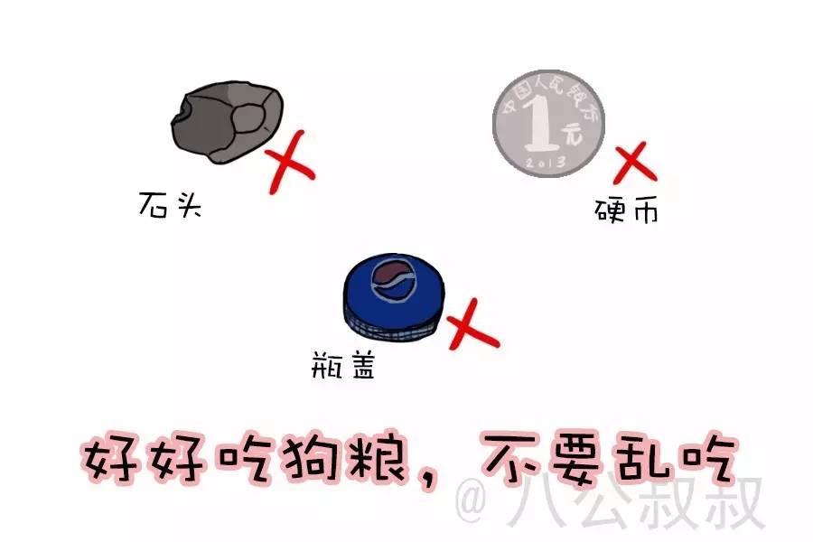「涨姿势」狗狗便秘了，怎么办？