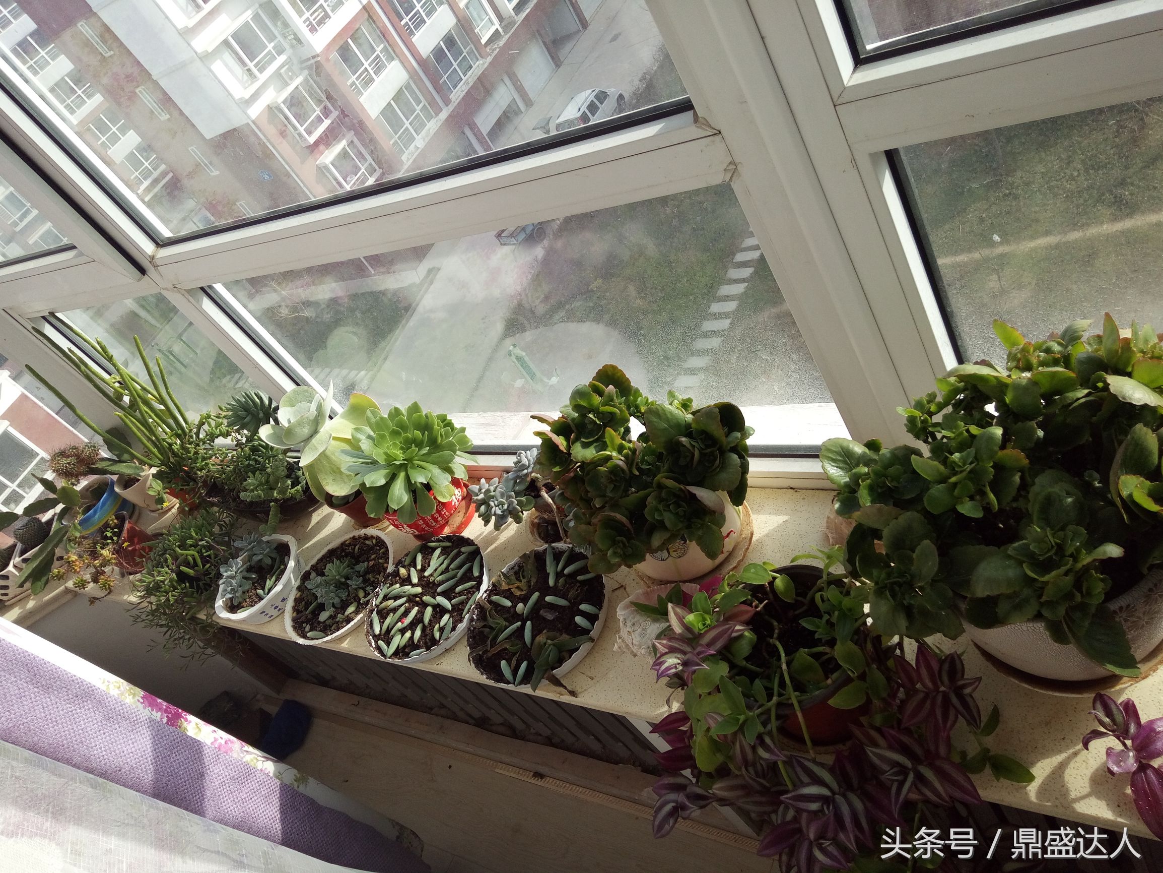 北方的冬天歌曲,北方的冬天原唱