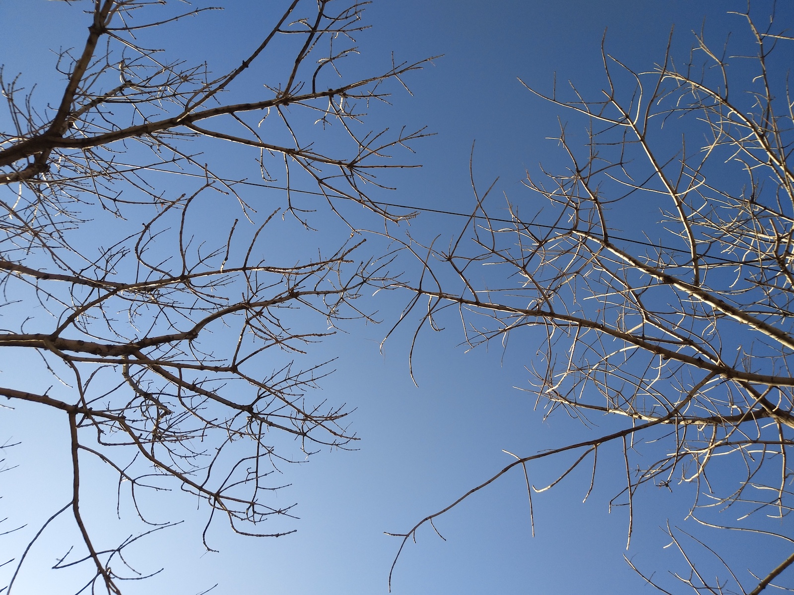 柔光双摄妹子的最爱,vivoX9自拍体验