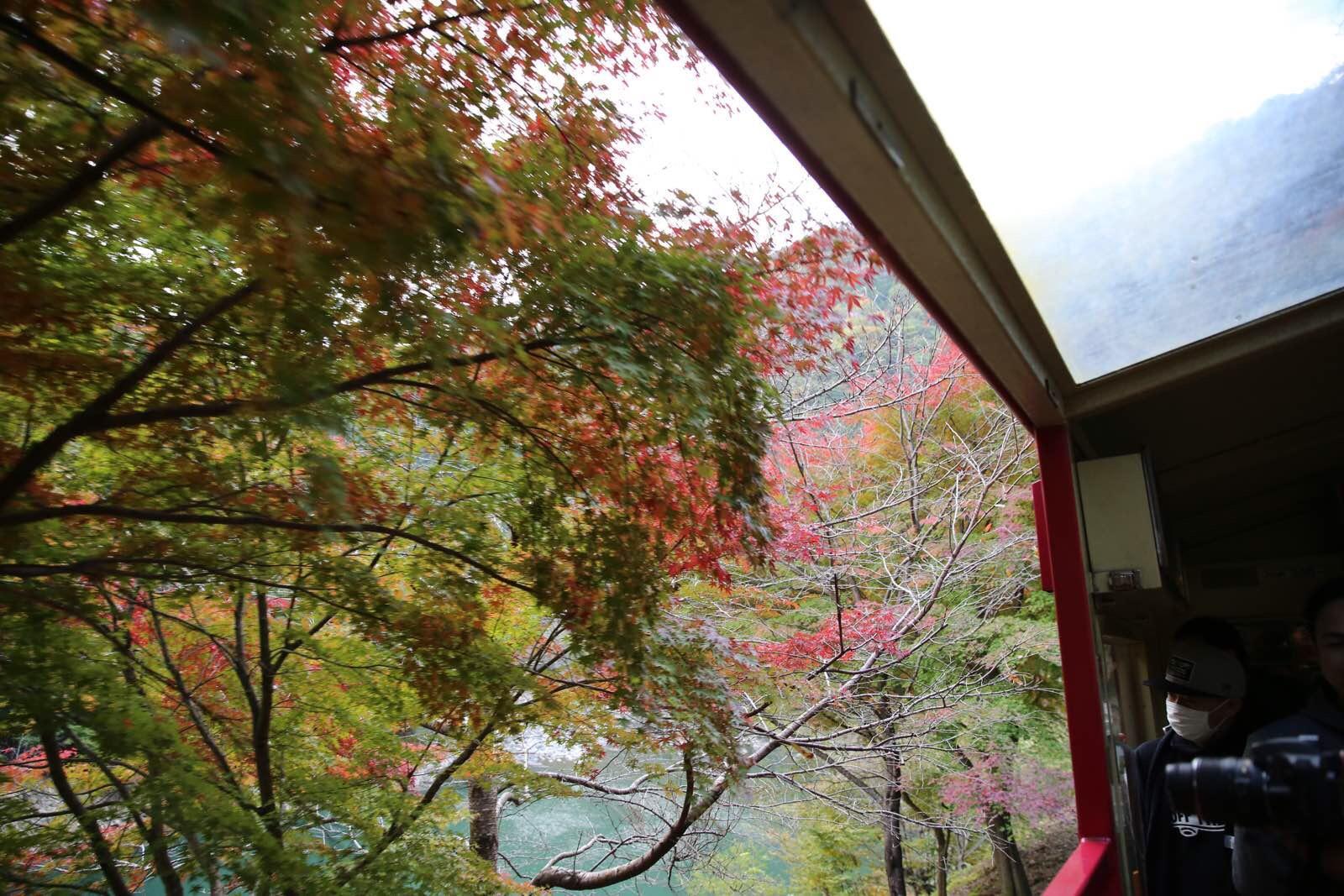 关西温泉六日游,大阪关西机场温泉