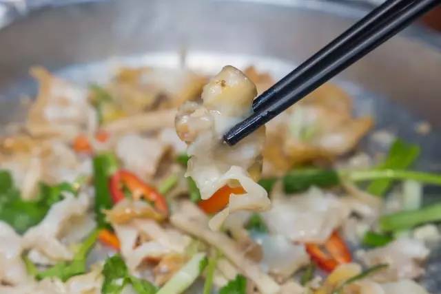 闇插彴澶氳倝鑺卞洯椁愬巺,澶氳倝妞嶇墿椁愬惂