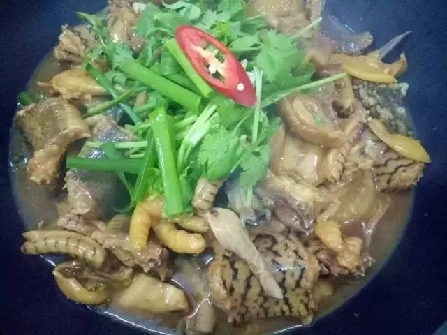 闇插彴澶氳倝鑺卞洯椁愬巺,澶氳倝妞嶇墿椁愬惂