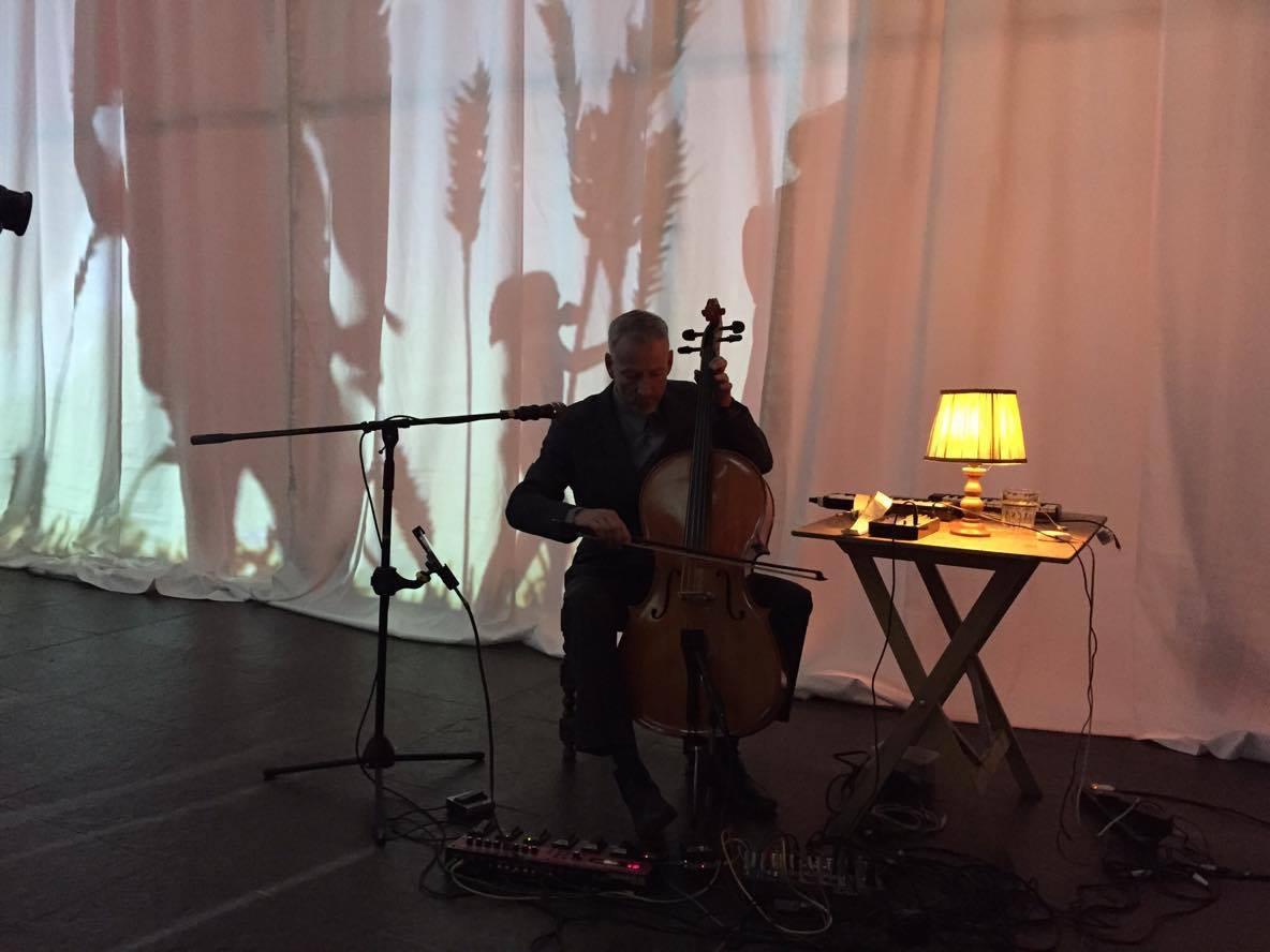 我眼中的荷兰美篇,我眼中的荷兰是什么样子的