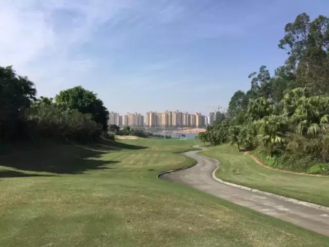 世界冠军专程助阵,为参赛球队提供总决赛球场最全攻略