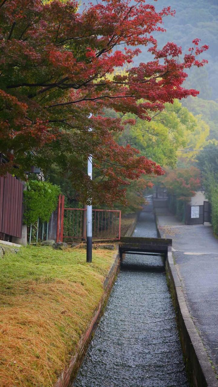 日本关西温泉圣地,日本关西房间内温泉