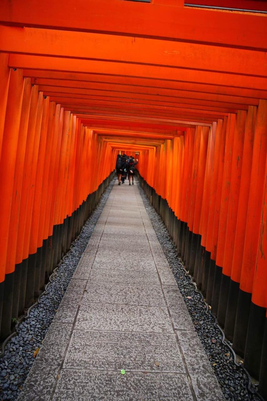 关西温泉六日游,大阪关西机场温泉