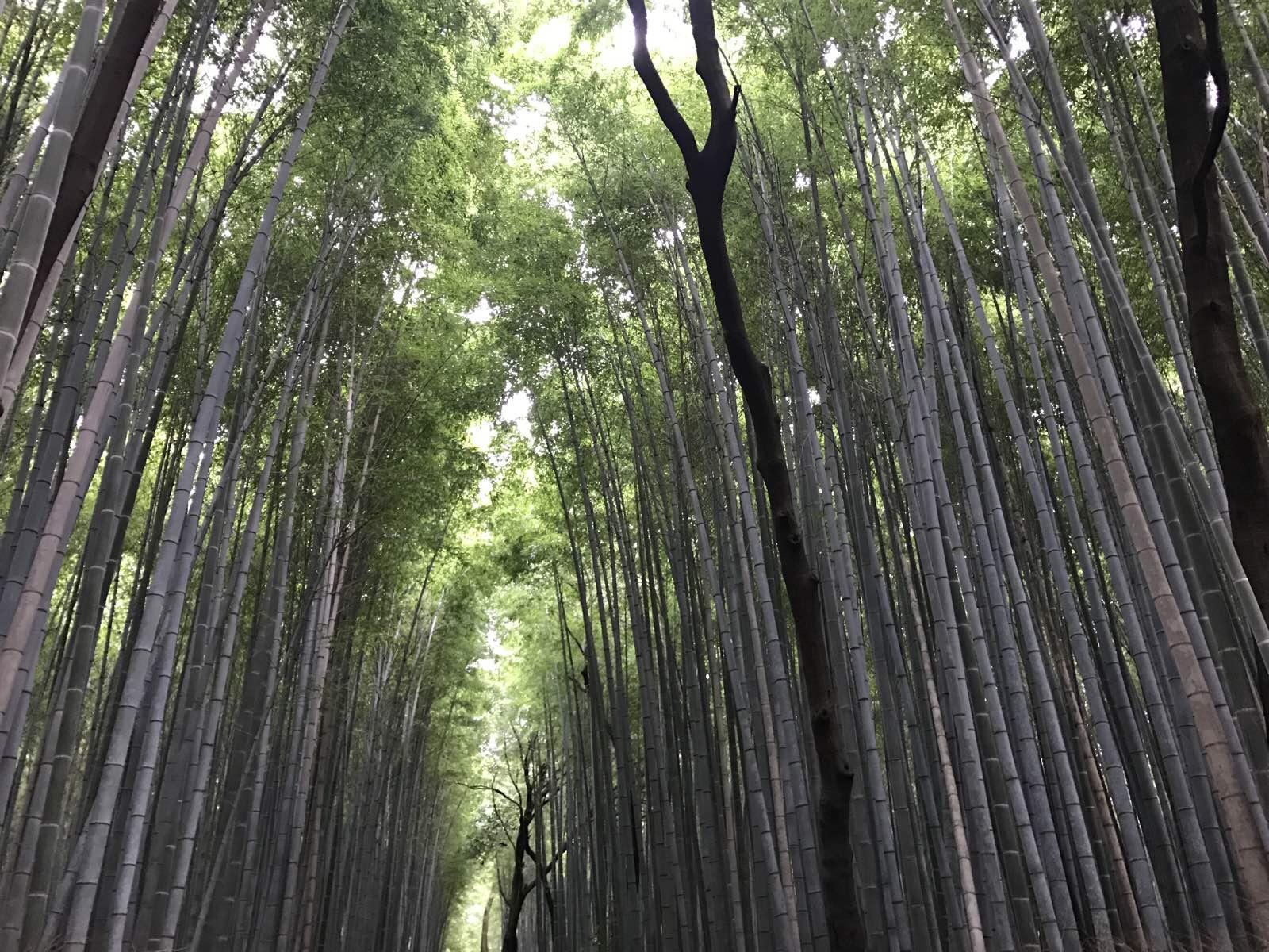 日本关西温泉圣地,日本关西房间内温泉