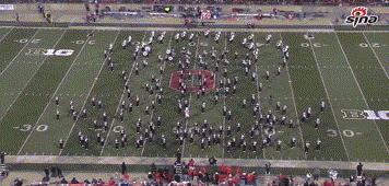 这样的欧洲杯！女性比追韩剧还疯狂