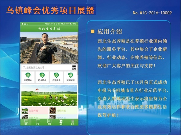 怎样辨别狐狸毛的真假,狐狸毛皮草怎么辨别真伪