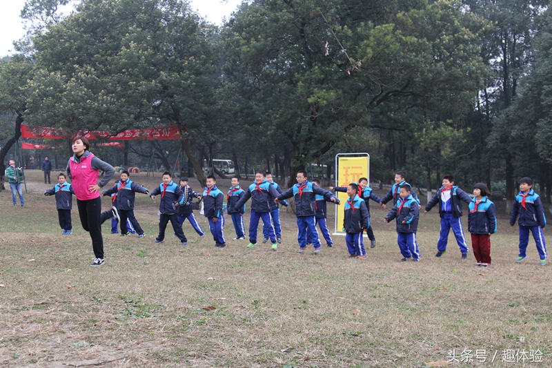 把课堂搬到森林里！去森林趣体验！