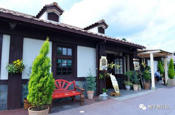 樱花旅行记全集视频,日本樱花7日游攻略大全