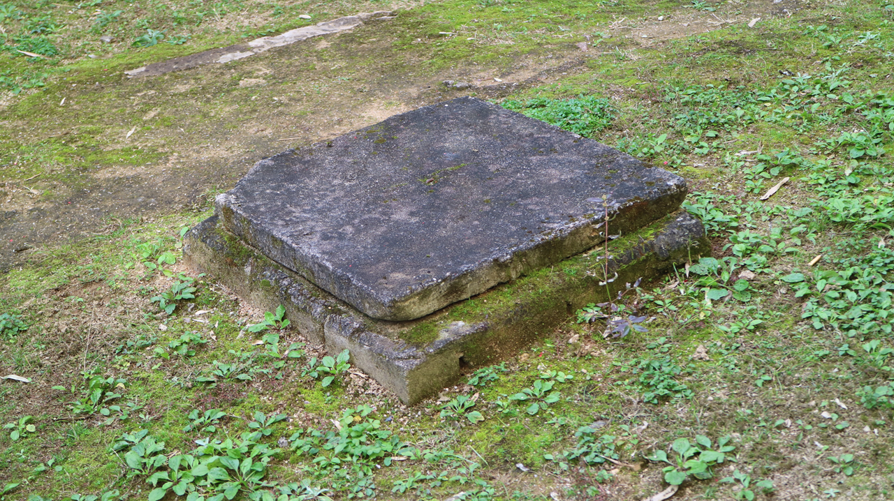 佳能微单相机推荐eosm3,eosm3