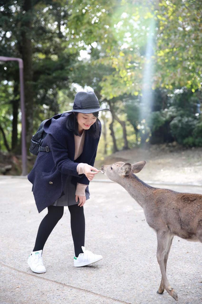日本关西温泉圣地,日本关西房间内温泉