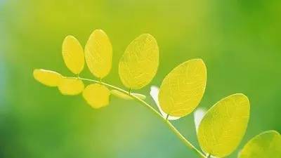 我心素已闲原文,我心素已闲清川澹如此是什么意思