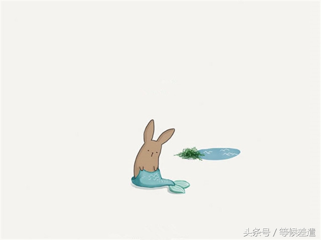 治愈系良方解救你的空虚寂寞冷