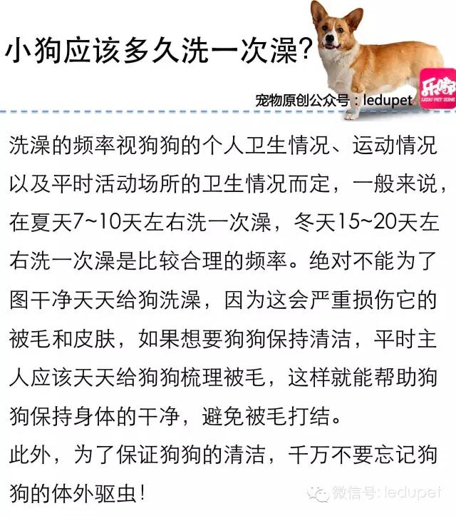 狗狗剪指甲总流血止不住怎么办,狗狗剪指甲流血沾了水怎么办