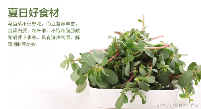 什么草有毒但能治皮肤病,农村常见的草都是治什么病的