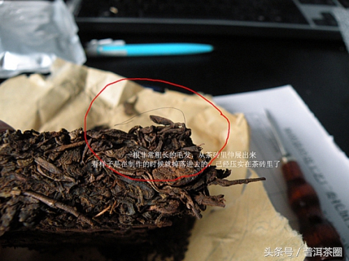 喝普洱茶呕吐褐色液体,普洱茶里面有白色异物是什么