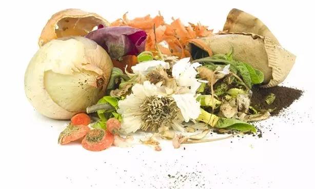 为啥英国可以垃圾分类,英国垃圾分类什么时候开始的