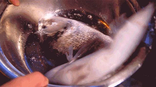 深圳一家低调海鲜店,深圳一家低调的海鲜店