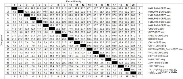 一个持续免疫“瑞兰安”生长猪临床效果追踪的意外发现