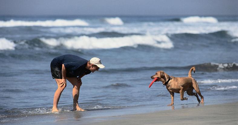 养狗之前请认真把这篇文章看完!