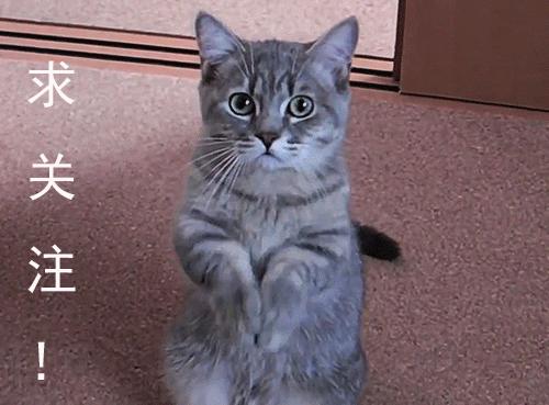 78元享原价153元品质套餐,风靡全国的成都美食登录昌吉了