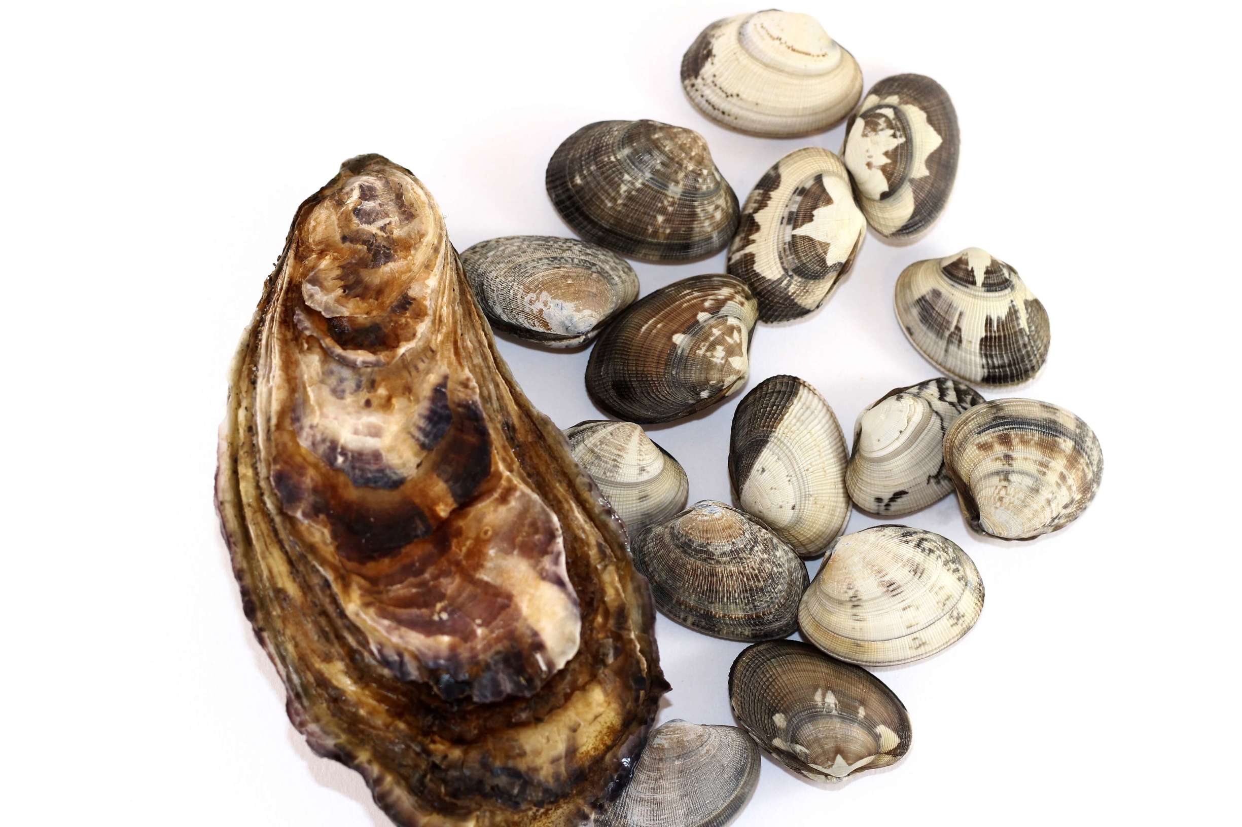 女人怀孕期间，这些好吃的食物却要少碰！