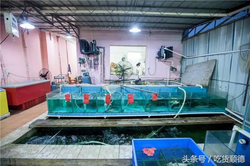 顺德有一家农庄,广东顺德生态农庄