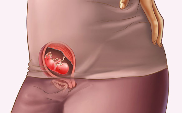 教你轻松搞定孕期的种种不适,那些你不知道的孕期饮食母婴知识